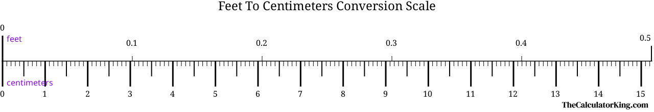 conversion scale showing the ratio between feet and the equivalent number of centimeters